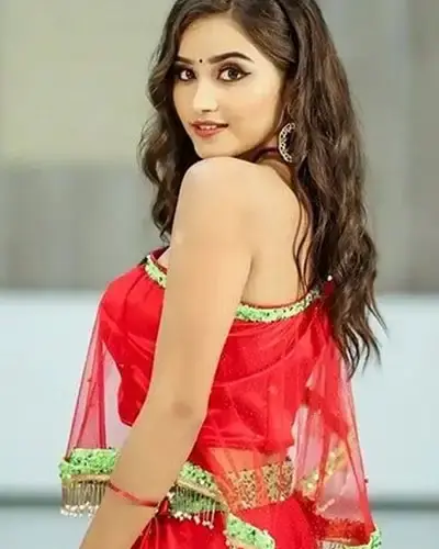 Escort In Ferozepur